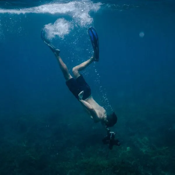 diving Webster Associates
