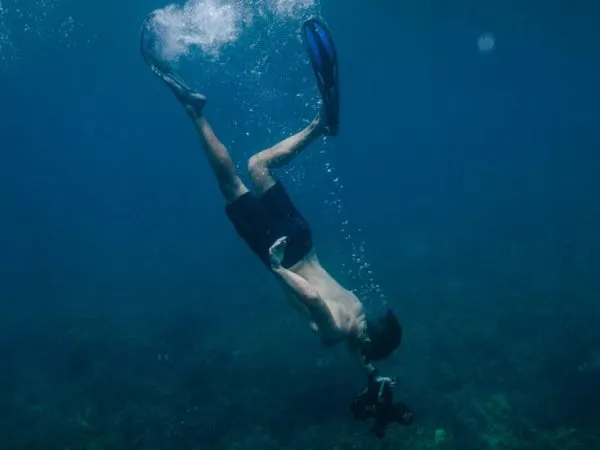 diving Webster Associates